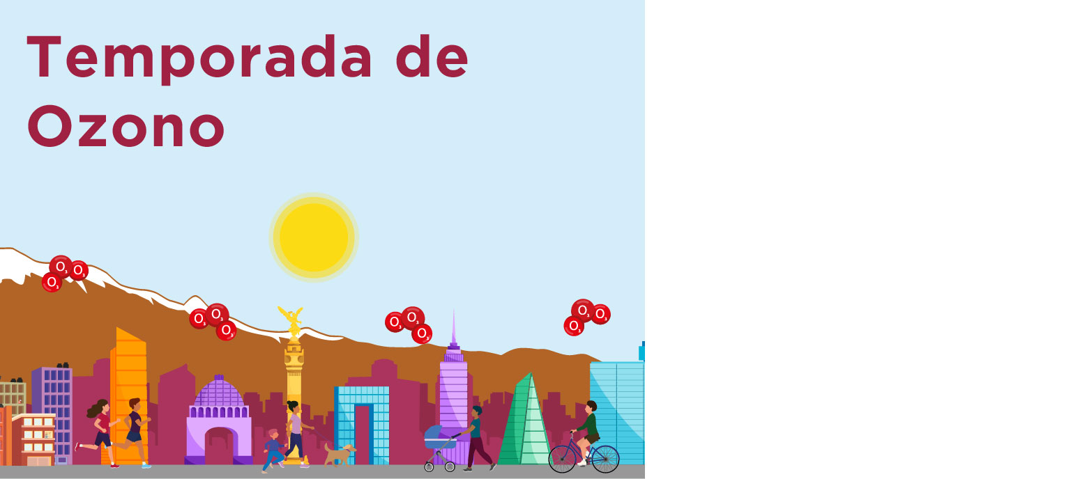 Noticia 1
