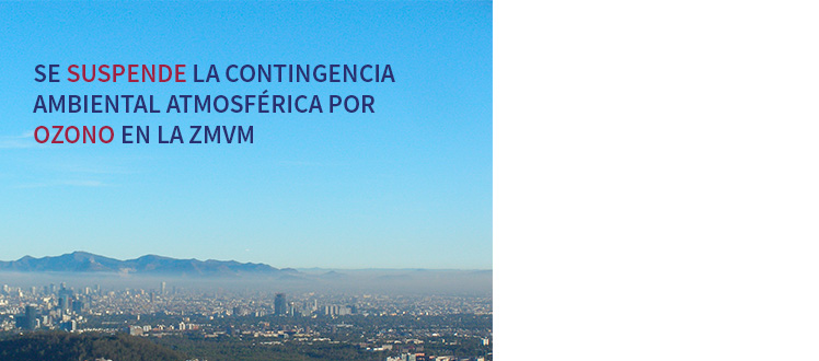 Noticia 1