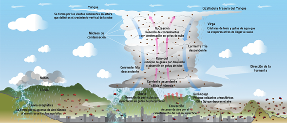 ciclo de la lluvia